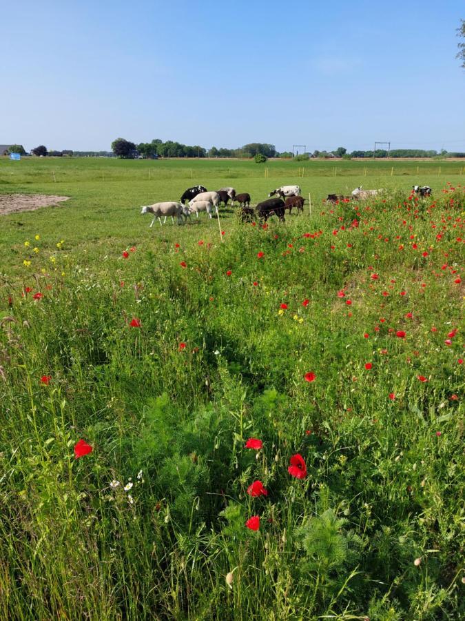 Boerderijkamer 'T Keukentje Wijhe Kültér fotó